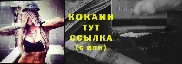 МДПВ Чекалин