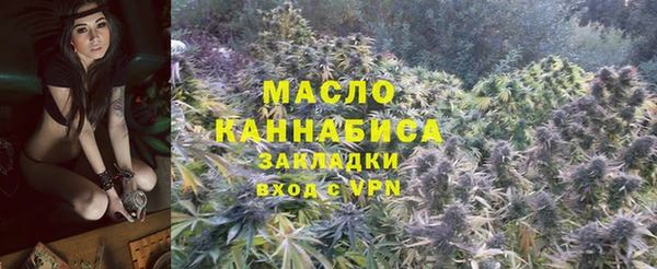 МДПВ Чекалин