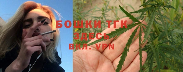 МДПВ Чекалин