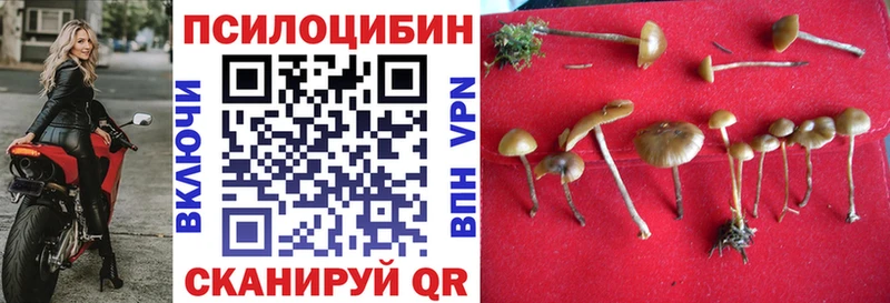 Купить  Советский  Галлюциногенные грибы мицелий 
